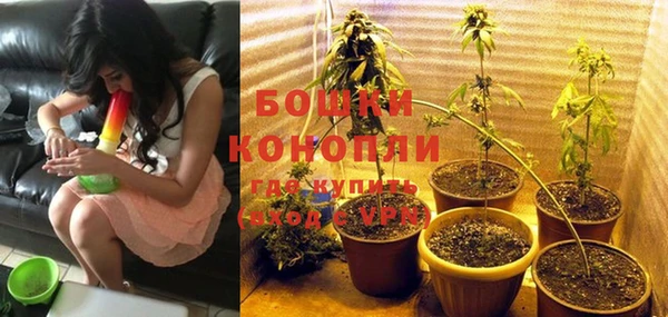 гидропоника Володарск
