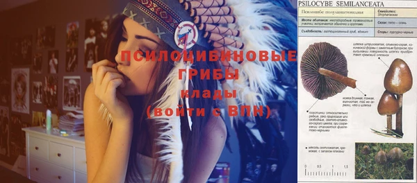 стафф Волосово