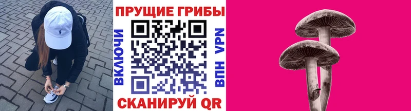 Галлюциногенные грибы мухоморы  наркота  площадка наркотические препараты  Игарка 